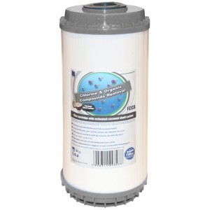 10" wkład z węglem bitumicznym typu Big Blue - FCCA10BB